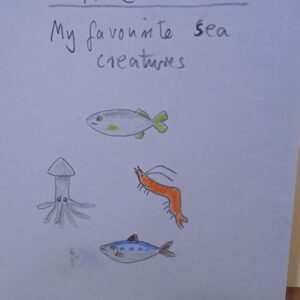 1 July - Make a book, tell a story