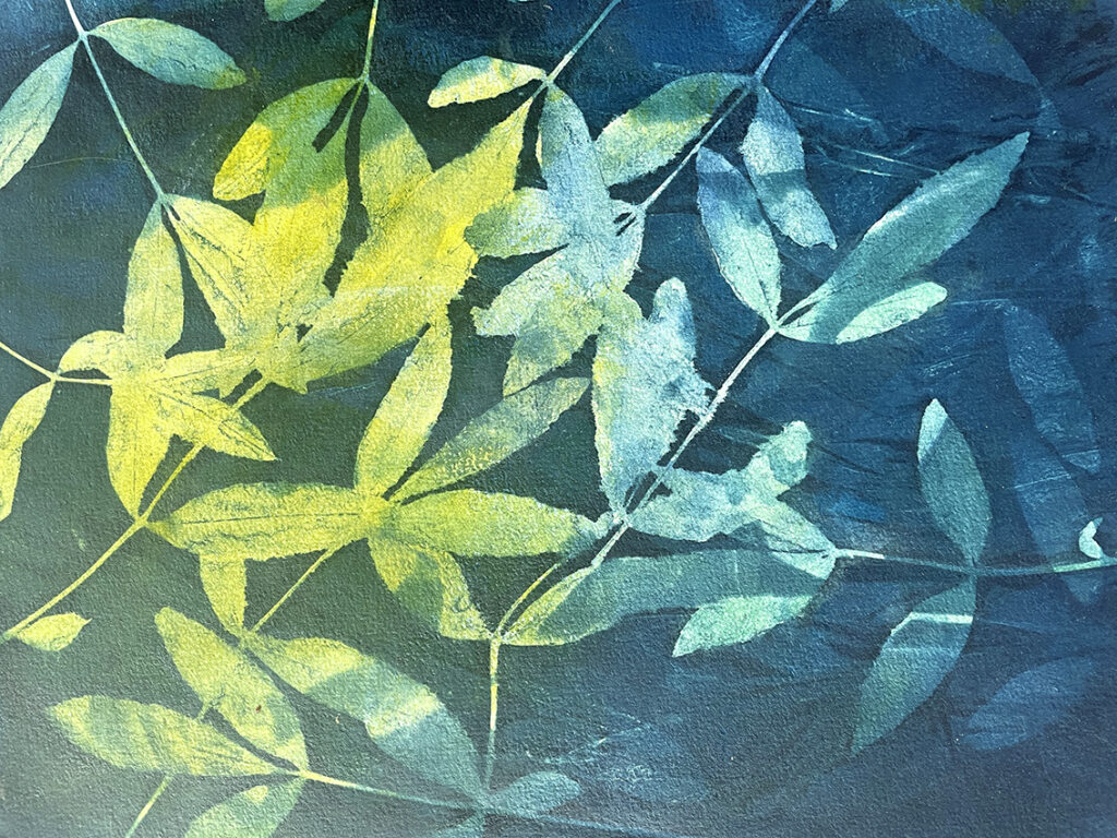 24. WSA Bulletin_20 January 2026 2 Lynn Taylor handcoloured